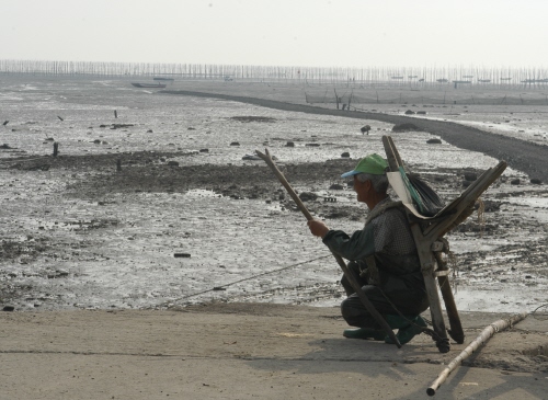 충남 서천(2005) 